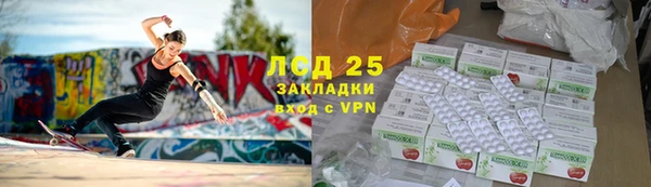 спайс Богданович