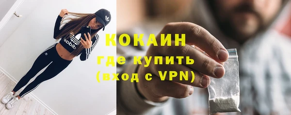 спайс Богданович
