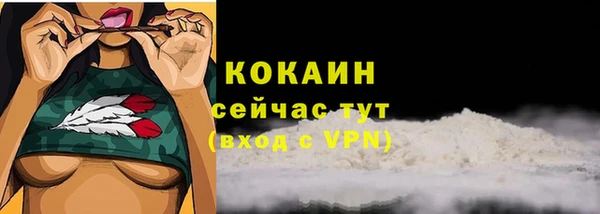 mix Богородск