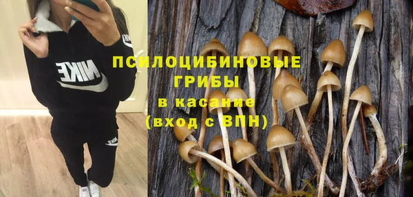 спайс Богданович