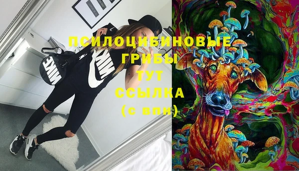 меф Богородицк