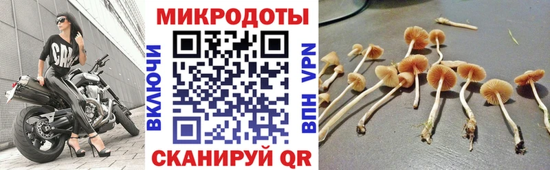 Псилоцибиновые грибы MAGIC MUSHROOMS  OMG tor  Чита 
